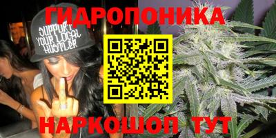 каннабис Будённовск