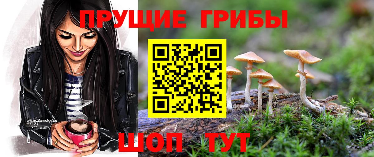 Галлюциногенные грибы Psilocybe  Вход с VPN  Мыски 